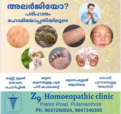 Z9 Homoeopathic Clinic Pulamanthole