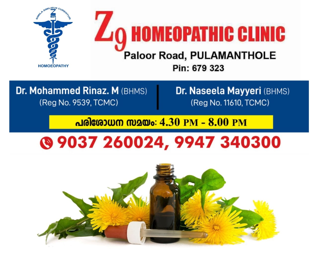 Z9 Homoeopathic Clinic Pulamanthole