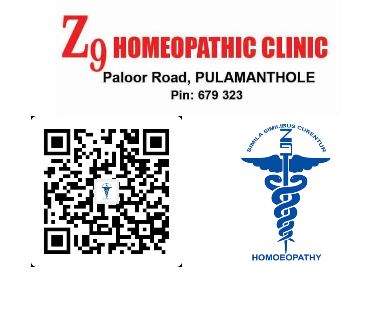 Z9 Homoeopathic Clinic Pulamanthole
