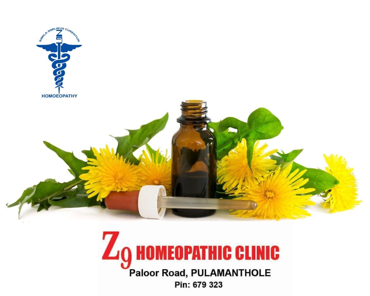 Z9 Homoeopathic Clinic Pulamanthole