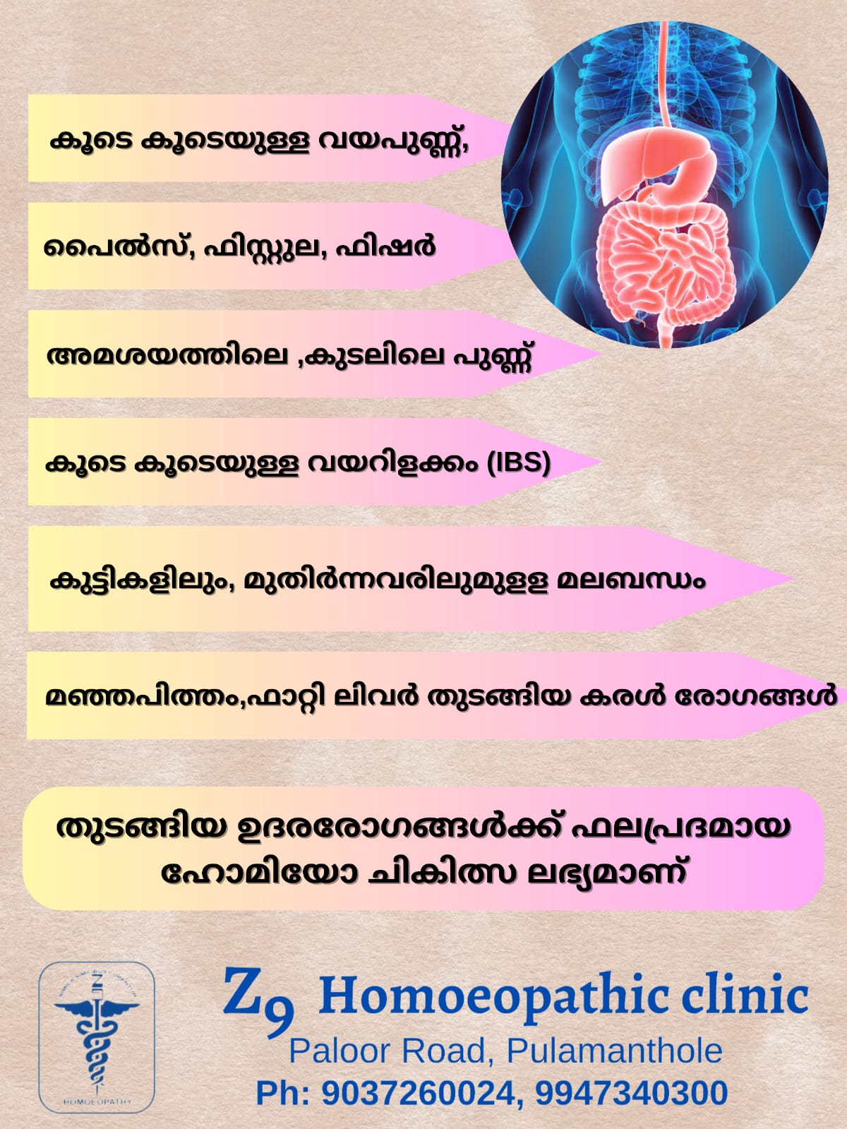 Z9 Homoeopathic Clinic Pulamanthole